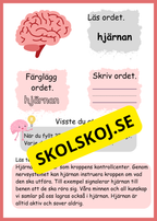Lite om min kropp - Paket - Läsförståelse