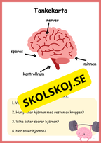 Lite om min kropp - Paket - Läsförståelse