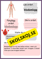 Lite om min kropp - Paket - Läsförståelse