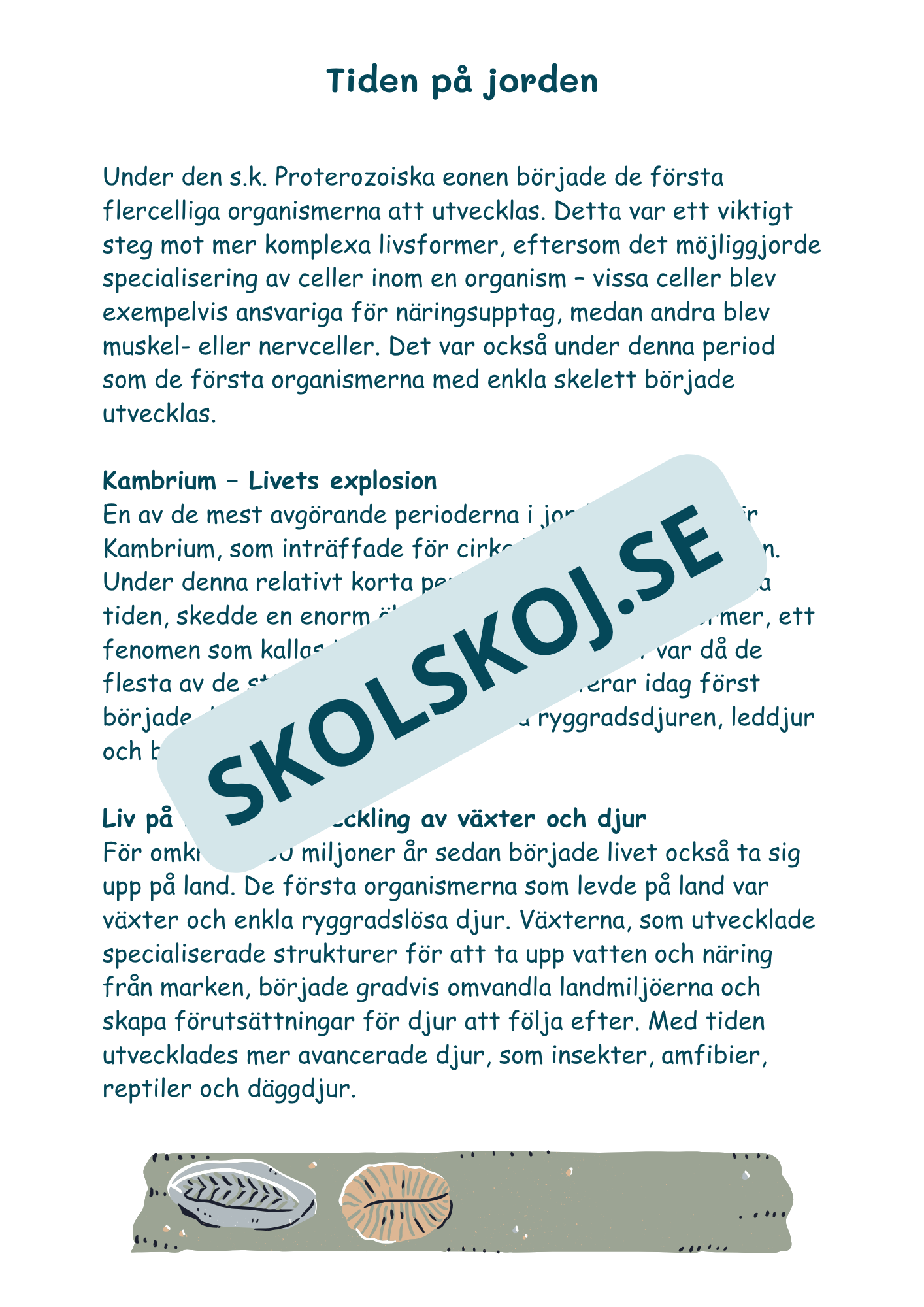 Livets utveckling - Läsförståelse + frågor (51 sidor)