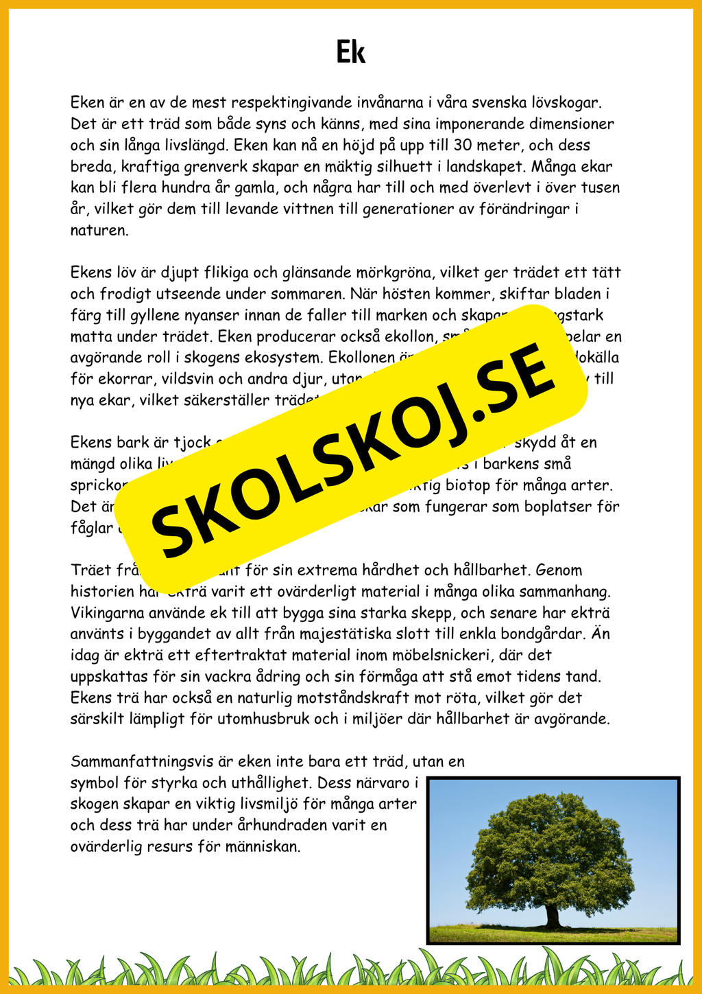 Lövskogens träd - Sveriges vanligaste lövträd - Årskurs 3 - 6