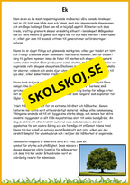 Lövskogens träd - Sveriges vanligaste lövträd - Årskurs 3 - 6