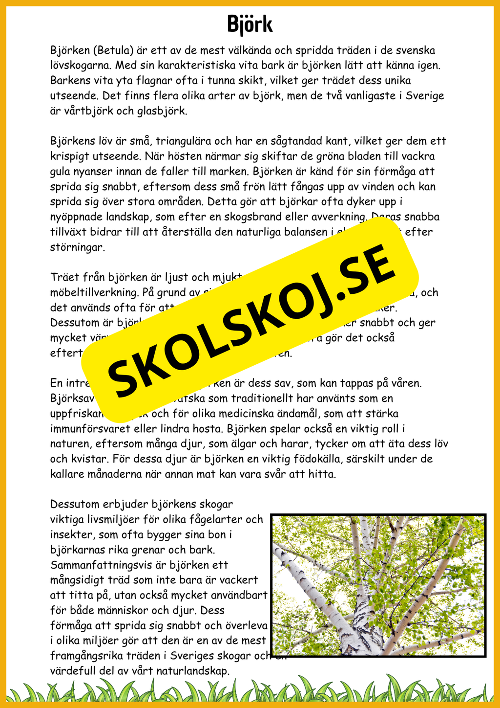 Lövskogens träd - Sveriges vanligaste lövträd - Årskurs 3 - 6