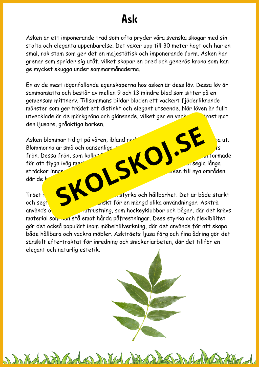 Lövskogens träd - Sveriges vanligaste lövträd - Årskurs 3 - 6
