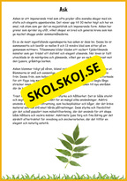 Lövskogens träd - Sveriges vanligaste lövträd - Årskurs 3 - 6