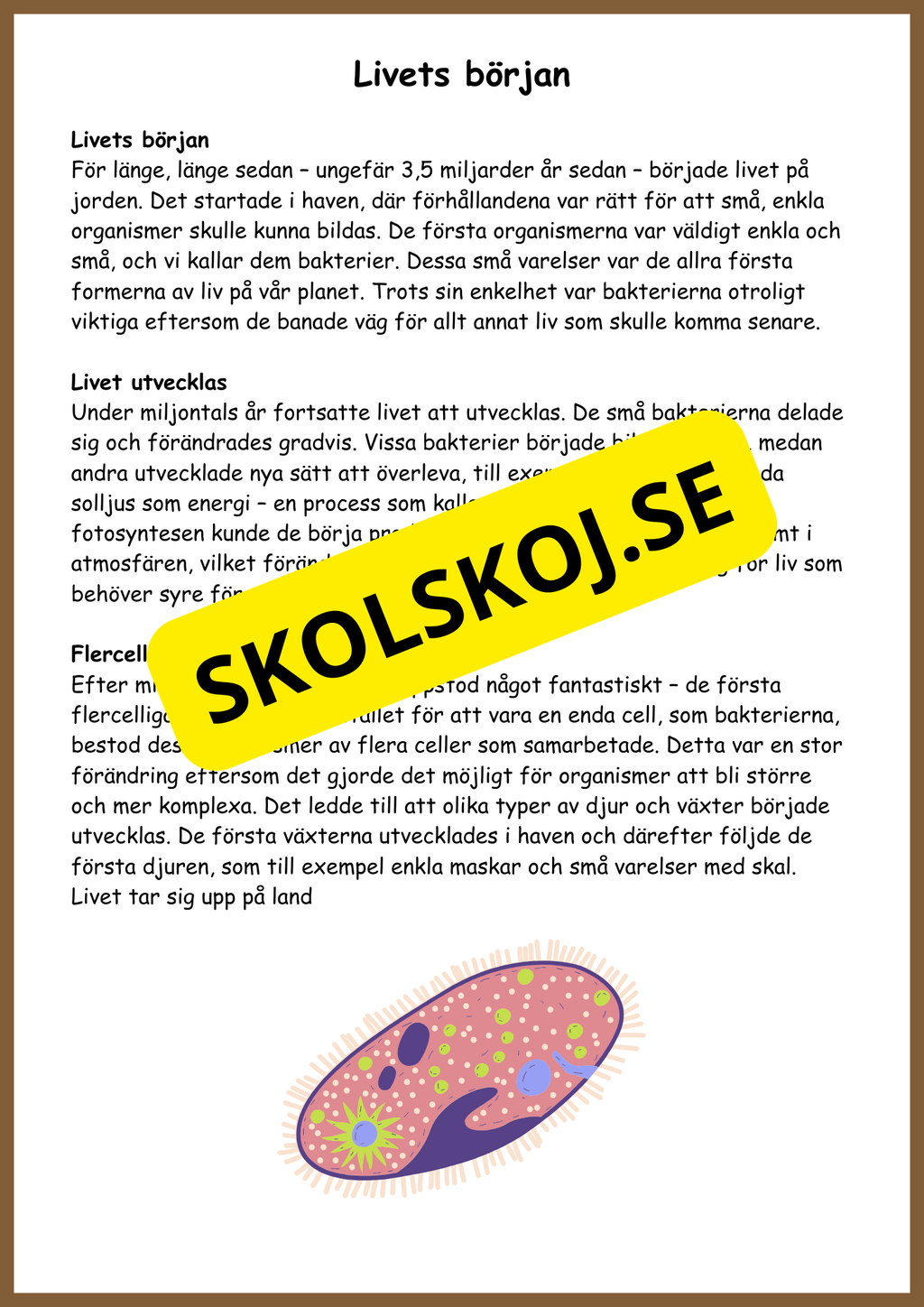 Människans evolution - Årskurs 5 - 6