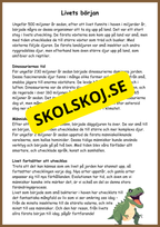 Människans evolution - Årskurs 5 - 6