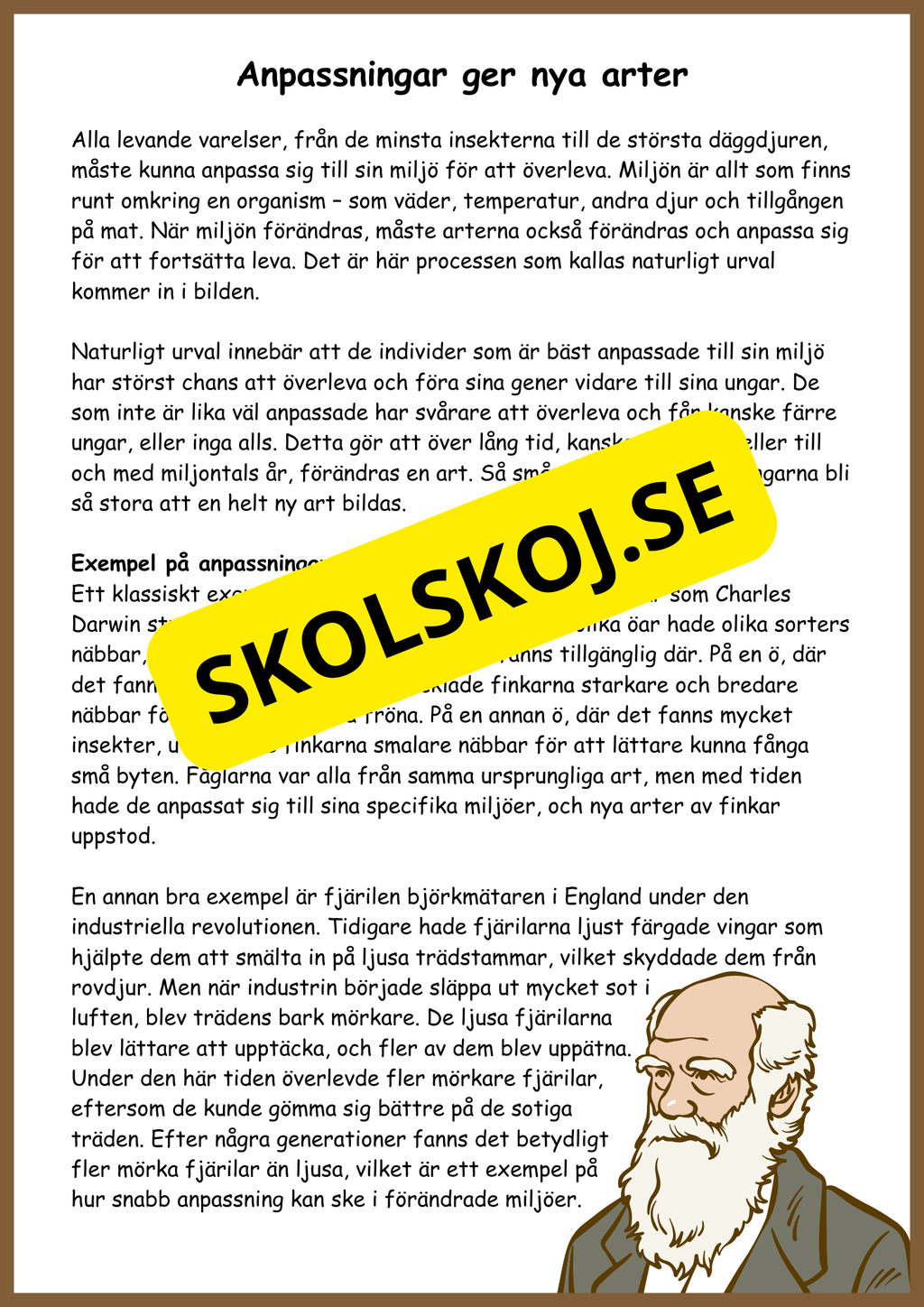 Människans evolution - Årskurs 5 - 6
