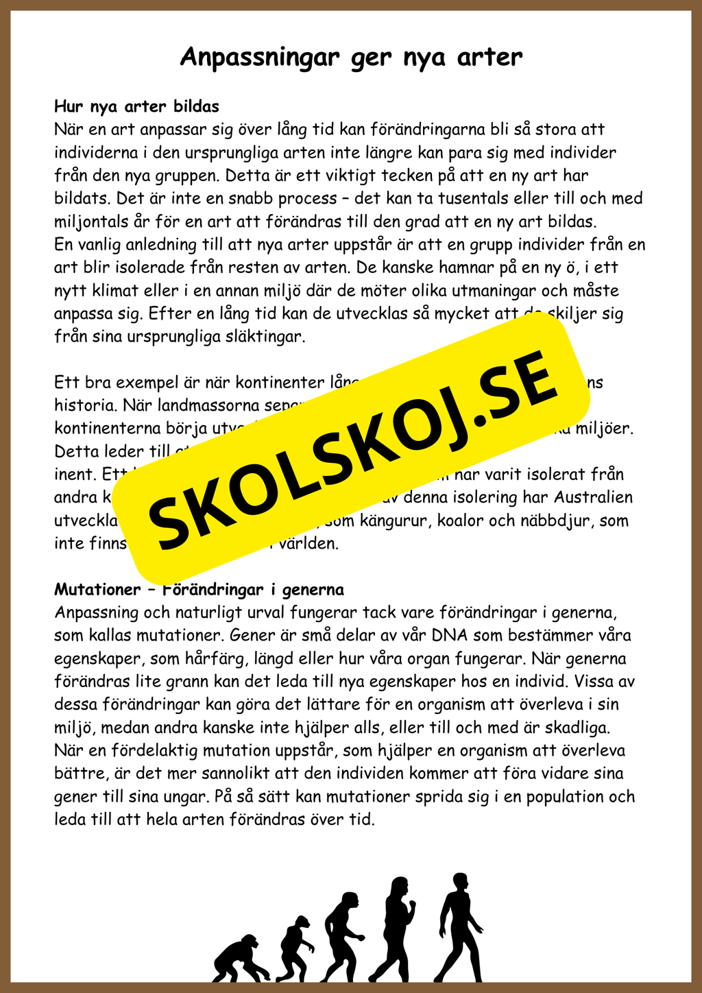 Människans evolution - Årskurs 5 - 6