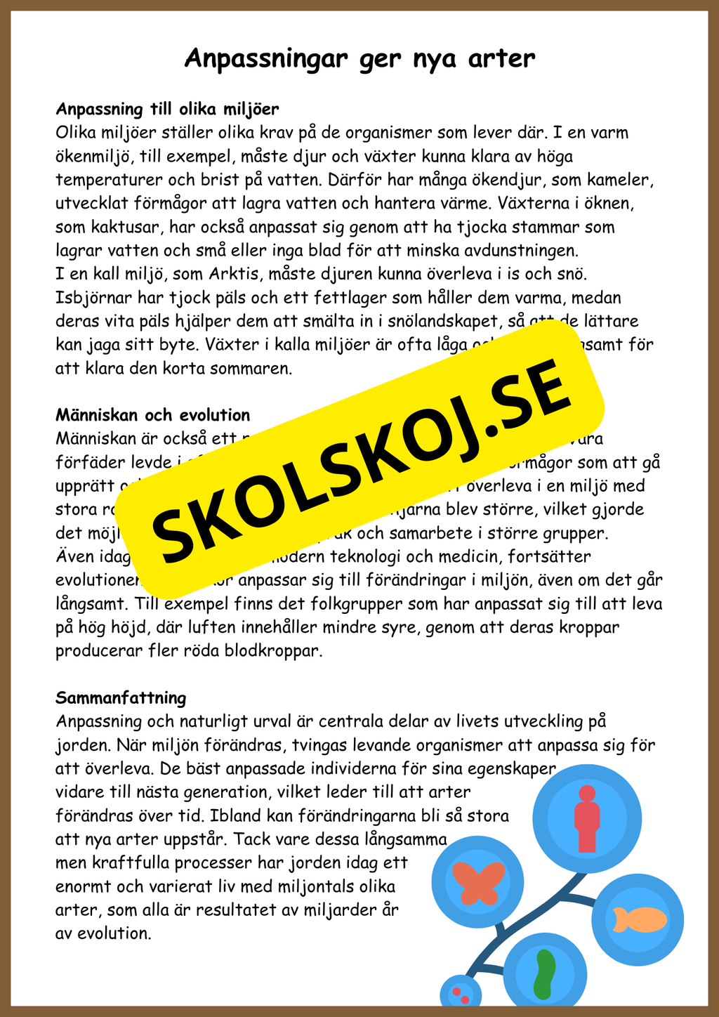 Människans evolution - Årskurs 5 - 6