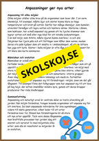 Människans evolution - Årskurs 5 - 6