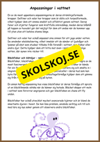 Människans evolution - Årskurs 5 - 6