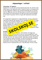 Människans evolution - Årskurs 5 - 6