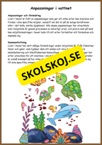 Människans evolution - Årskurs 5 - 6