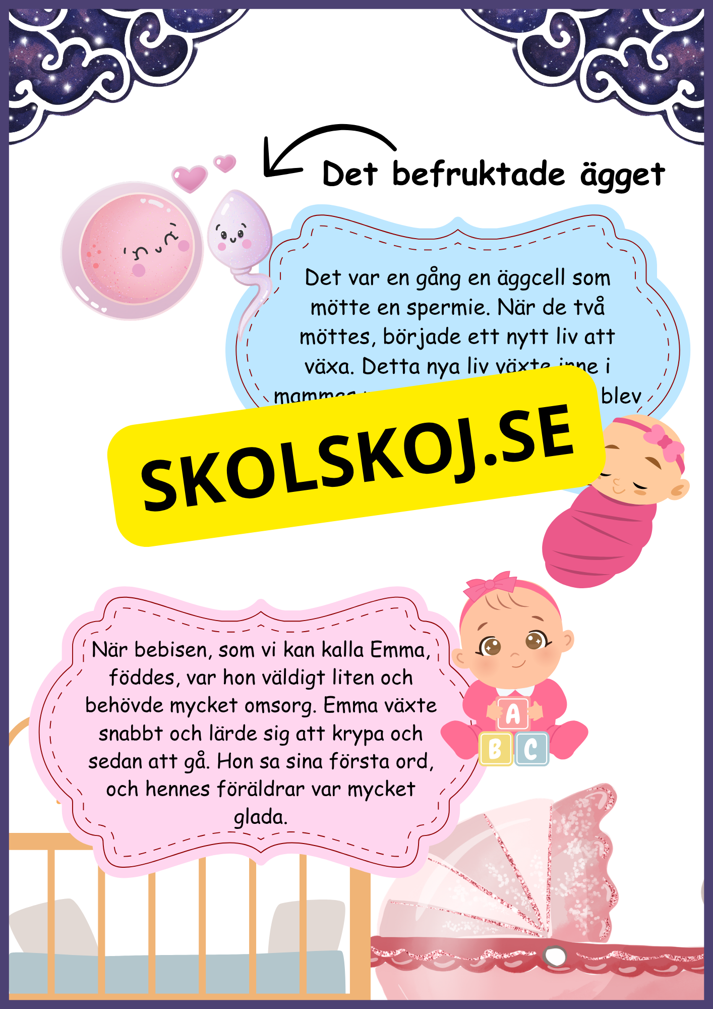 Människans livscykel - En magisk berättelse