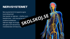 Människokroppen - Årskurs 7 - 9