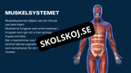 Människokroppen - Årskurs 7 - 9