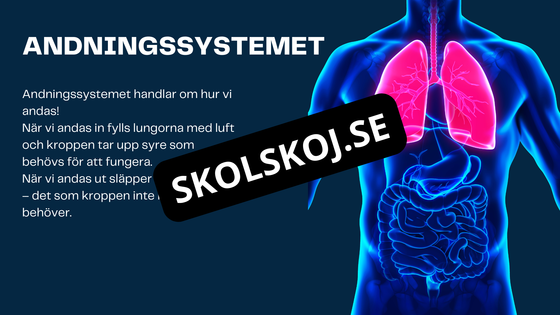 Människokroppen - Årskurs 7 - 9