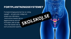 Människokroppen - Årskurs 7 - 9