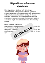 Medeltiden - En resa genom historien - Årskurs 4 - 6