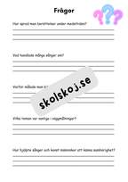 Medeltiden - En resa genom historien - Årskurs 4 - 6