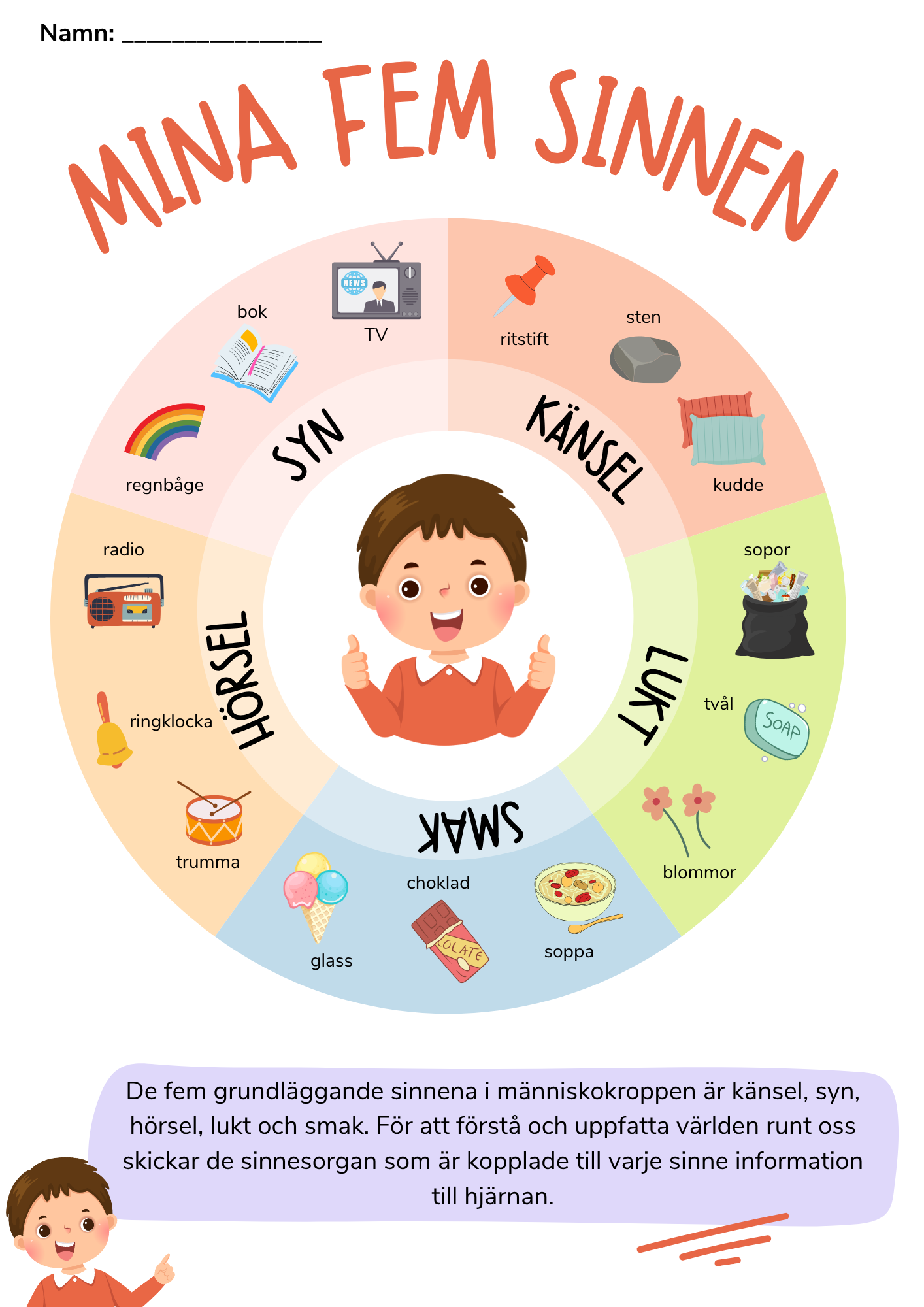 Mina fem sinnen