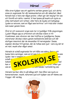 Mina fem sinnen