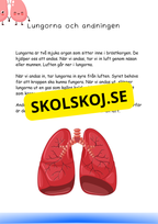 Min bok om kroppen