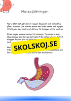 Min bok om kroppen