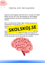 Min bok om kroppen