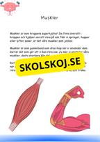 Min bok om kroppen