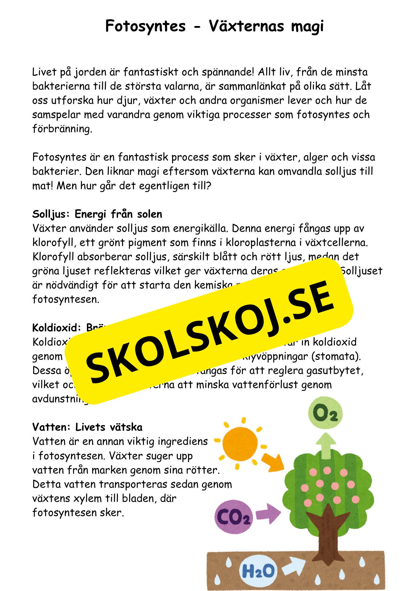 Naturens magi - Hur växter, djur och andra organismer lever och samspelar (Årskurs 4 - 6)