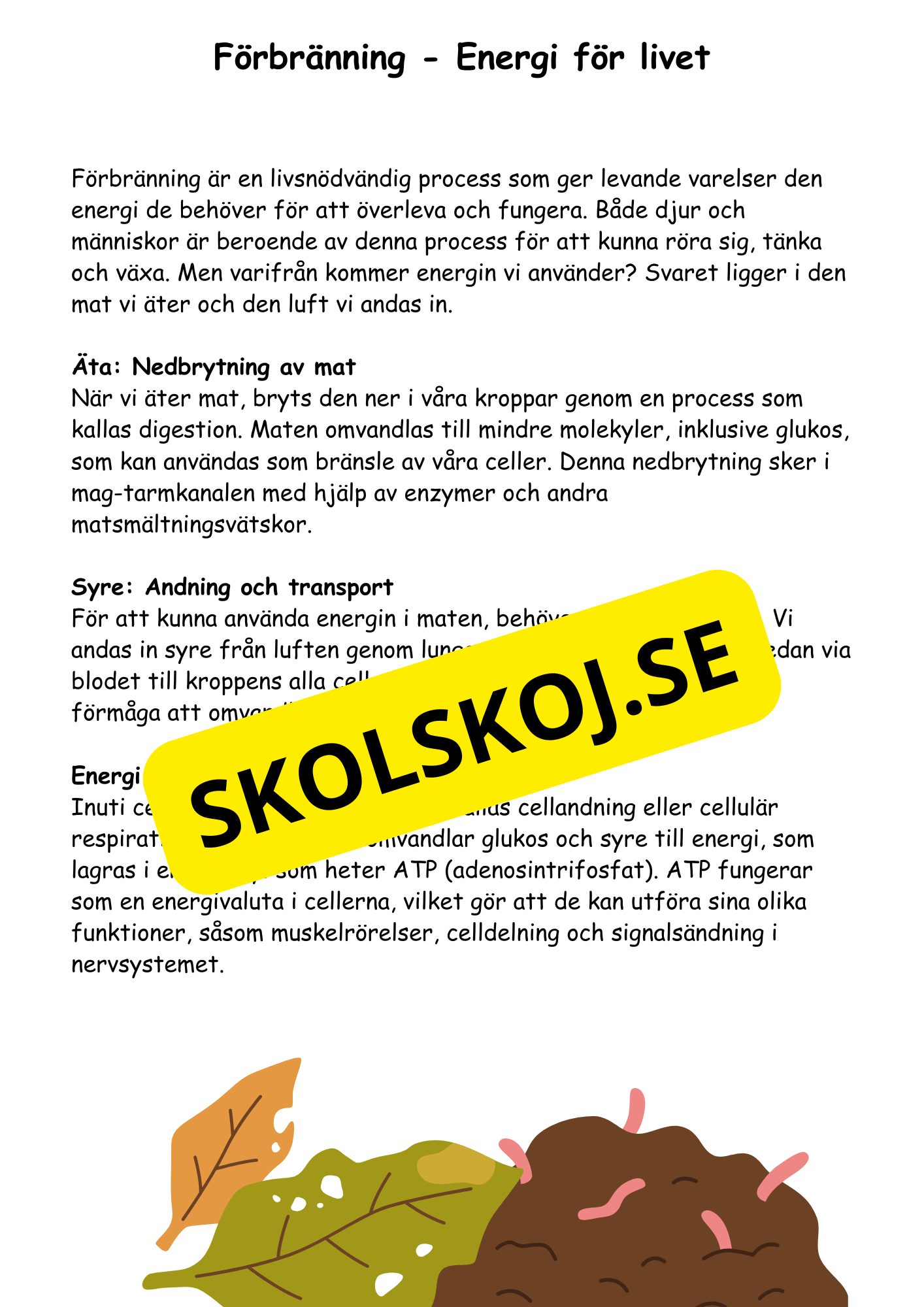 Naturens magi - Hur växter, djur och andra organismer lever och samspelar (Årskurs 4 - 6)