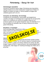 Naturens magi - Hur växter, djur och andra organismer lever och samspelar (Årskurs 4 - 6)