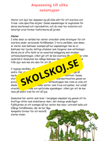 Naturens mosaik - Växter och djur i naturen