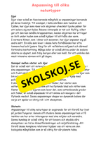 Naturens mosaik - Växter och djur i naturen