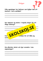 Naturens mosaik - Växter och djur i naturen