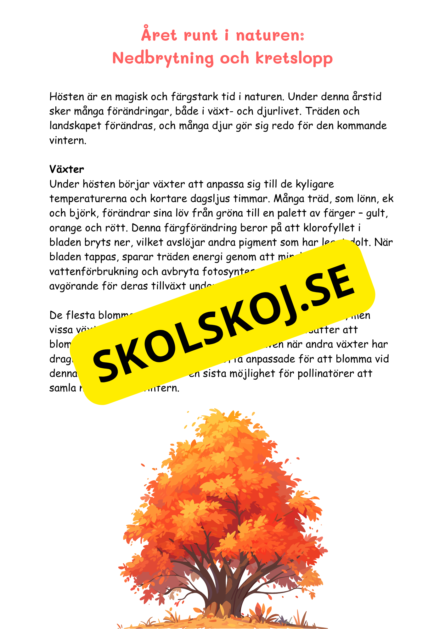 Naturens mosaik - Växter och djur i naturen