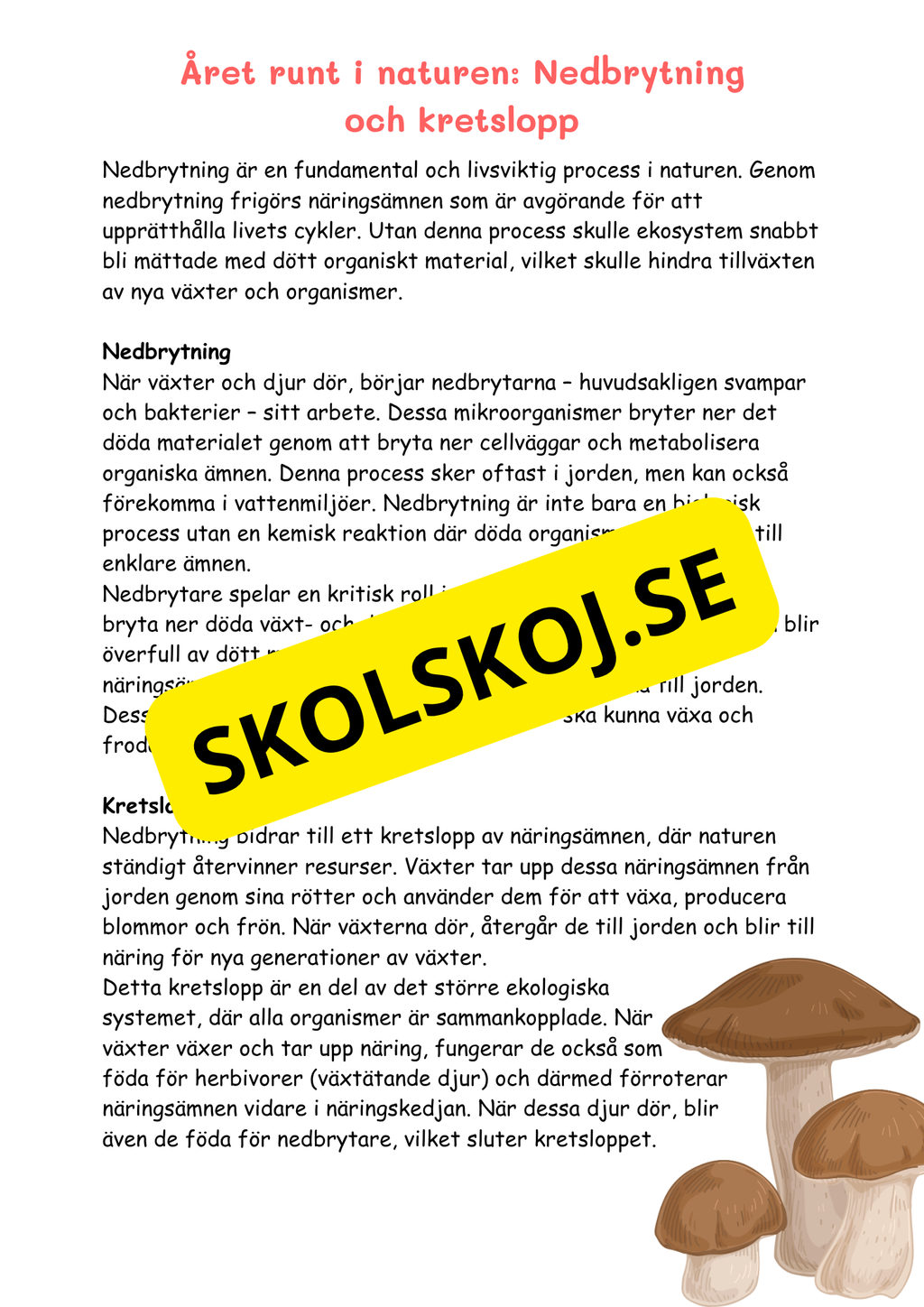 Naturens mosaik - Växter och djur i naturen