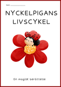 Nyckelpigans livscykel