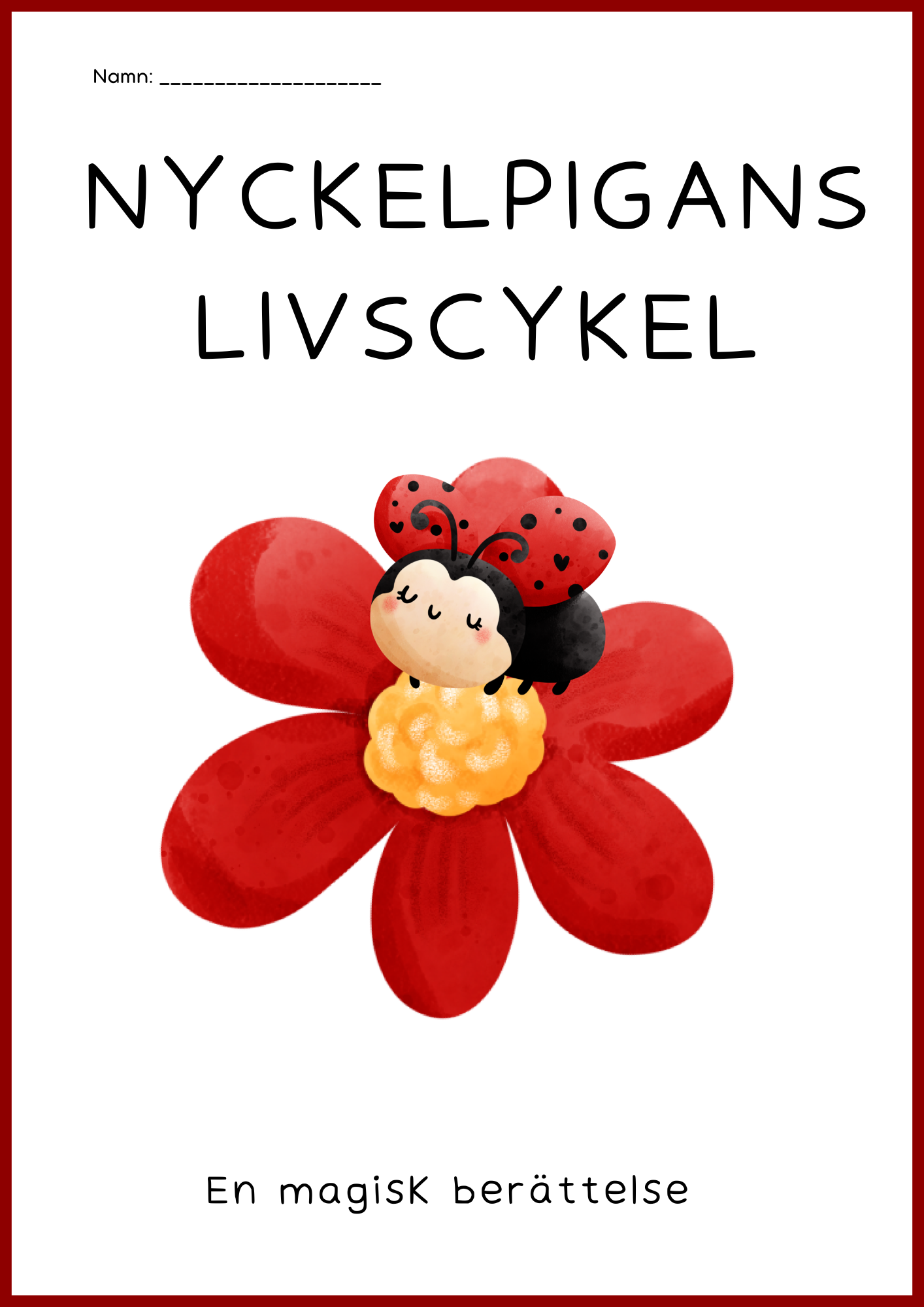 Nyckelpigans livscykel