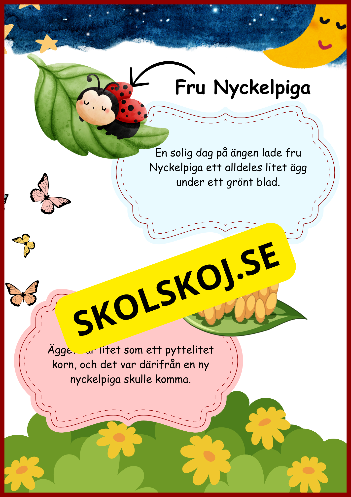 Nyckelpigans livscykel