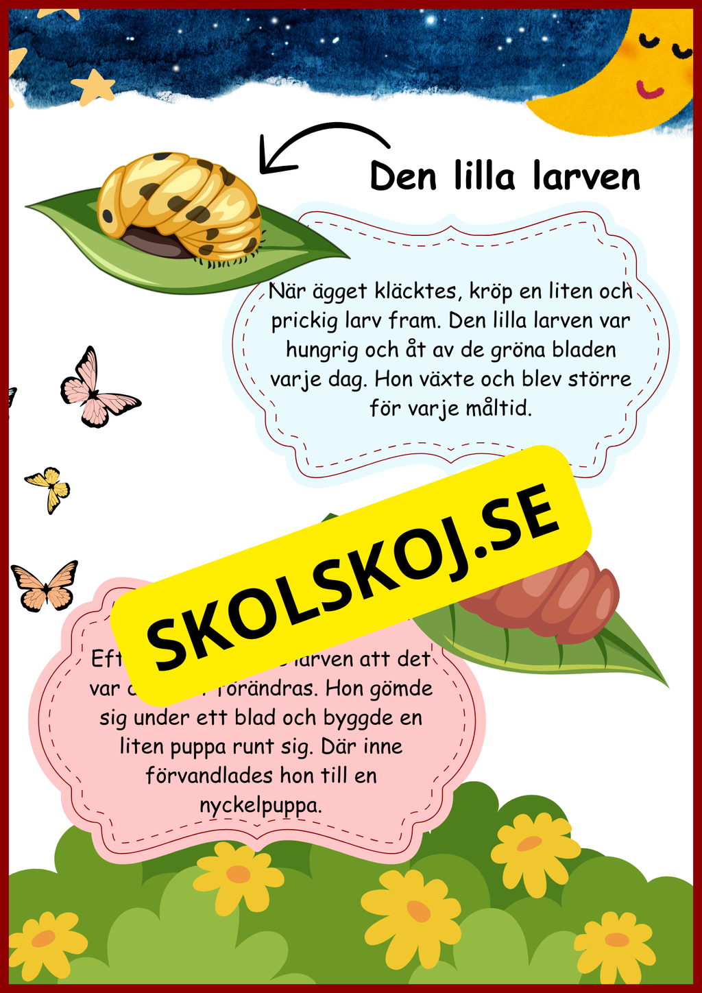 Nyckelpigans livscykel
