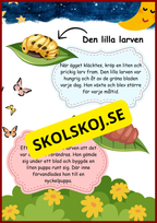 Nyckelpigans livscykel