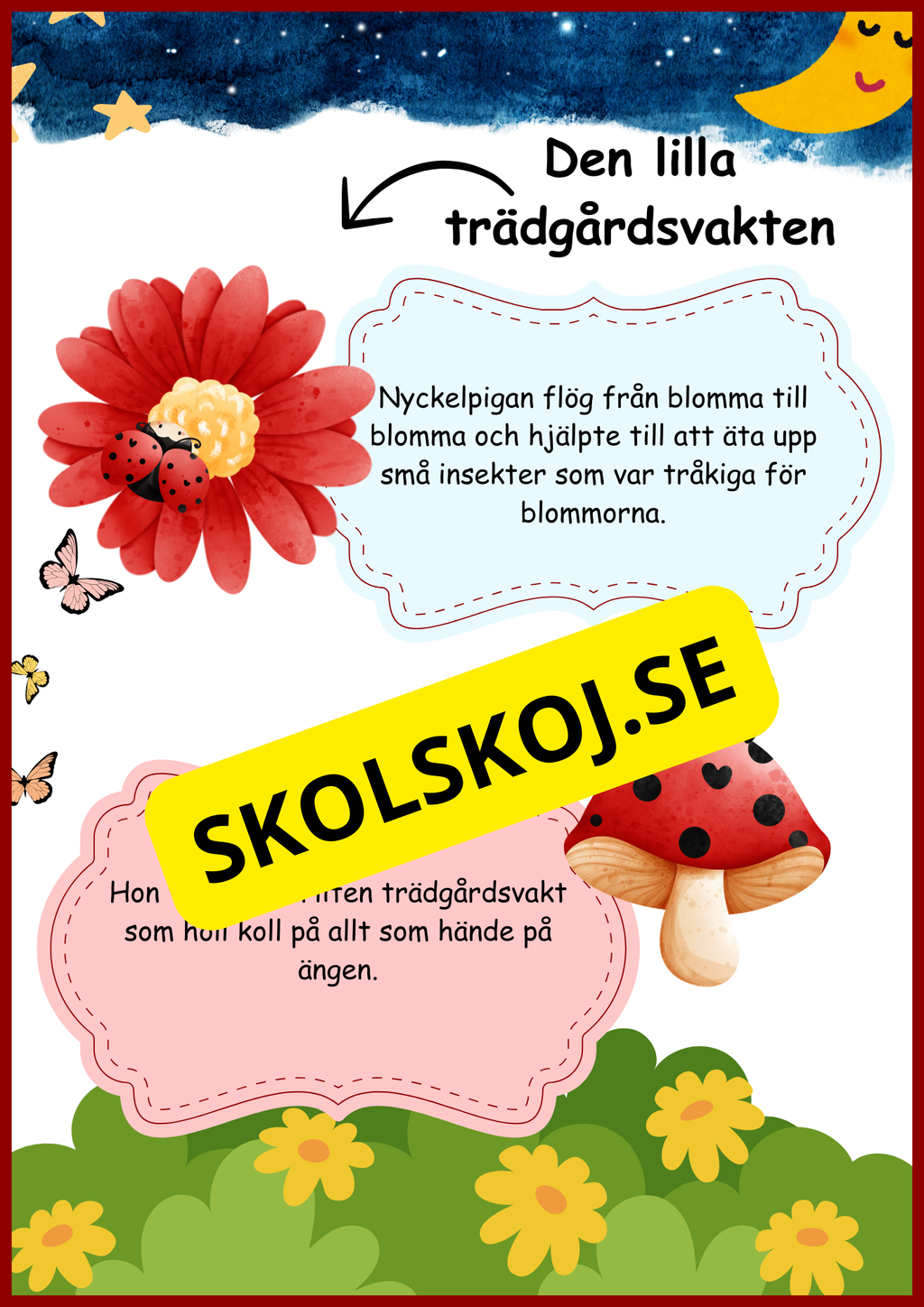 Nyckelpigans livscykel