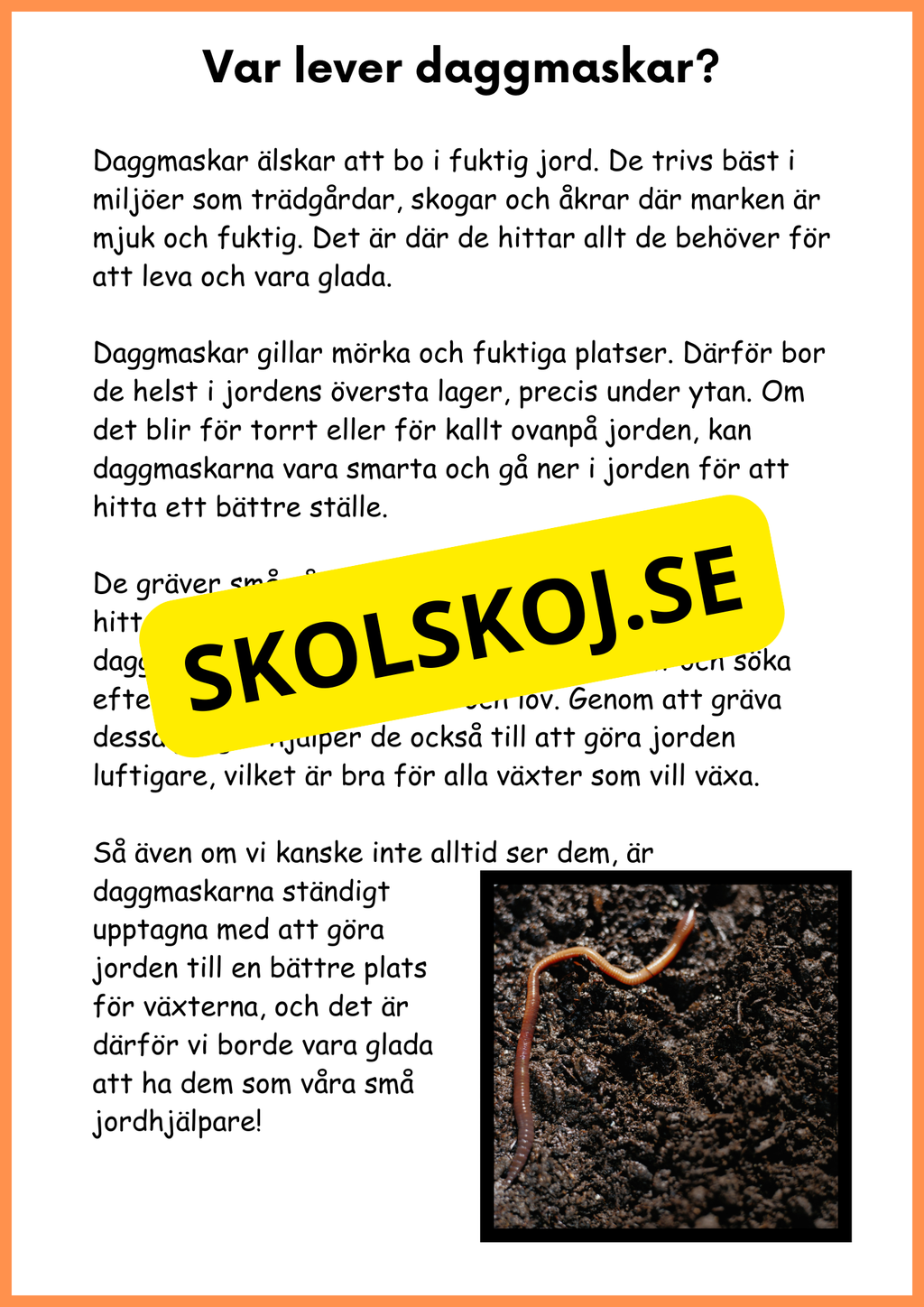 Om daggmasken - Åk 4 - 6