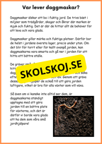 Om daggmasken - Åk 4 - 6