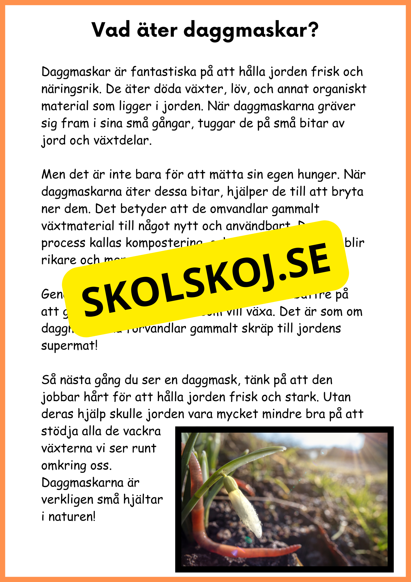 Om daggmasken - Åk 4 - 6