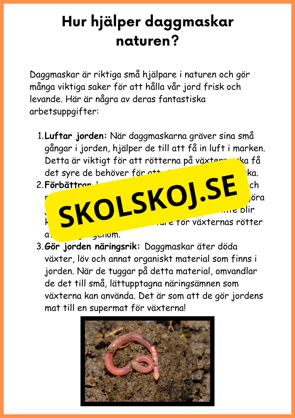 Om daggmasken - Åk 4 - 6