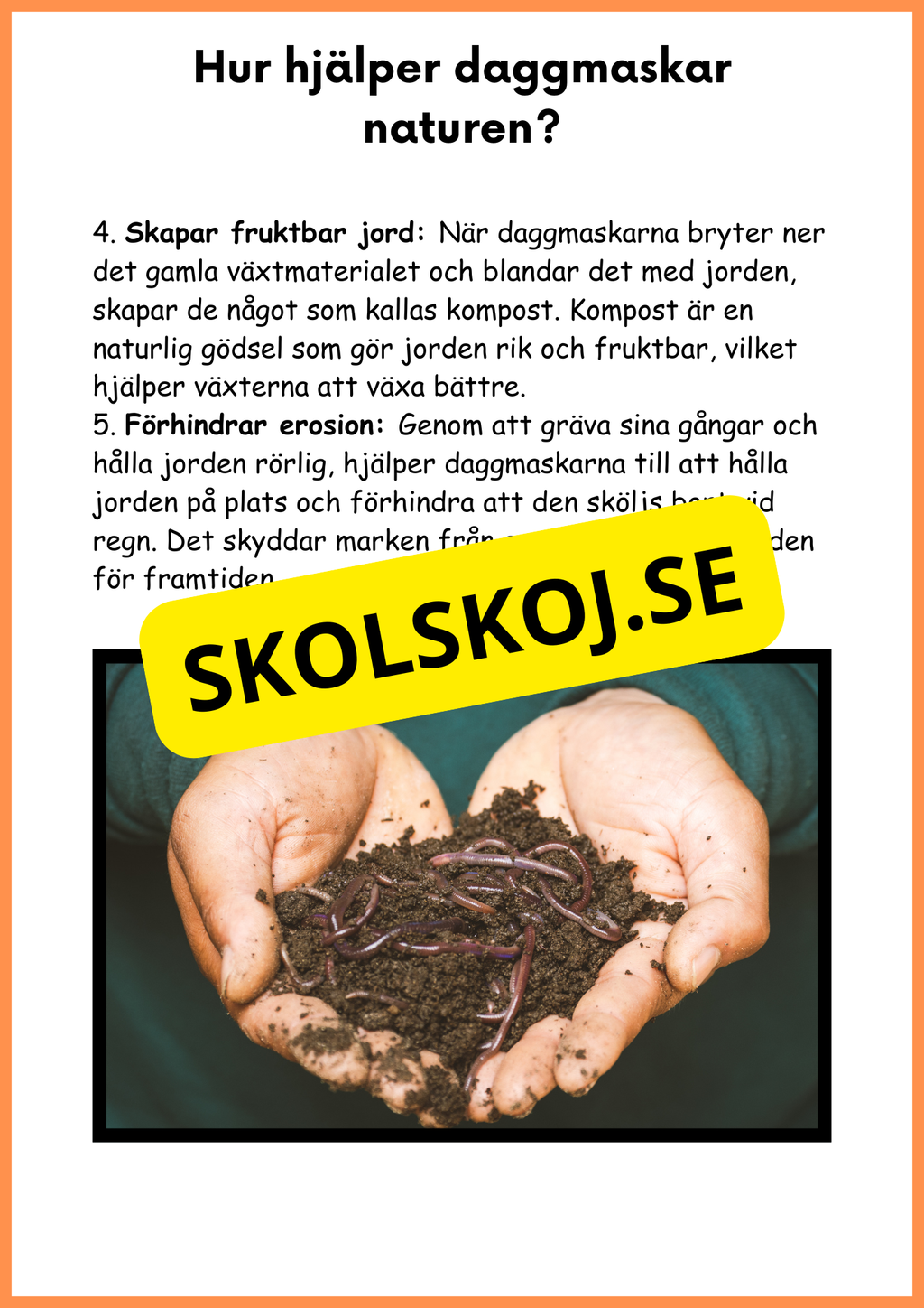 Om daggmasken - Åk 4 - 6